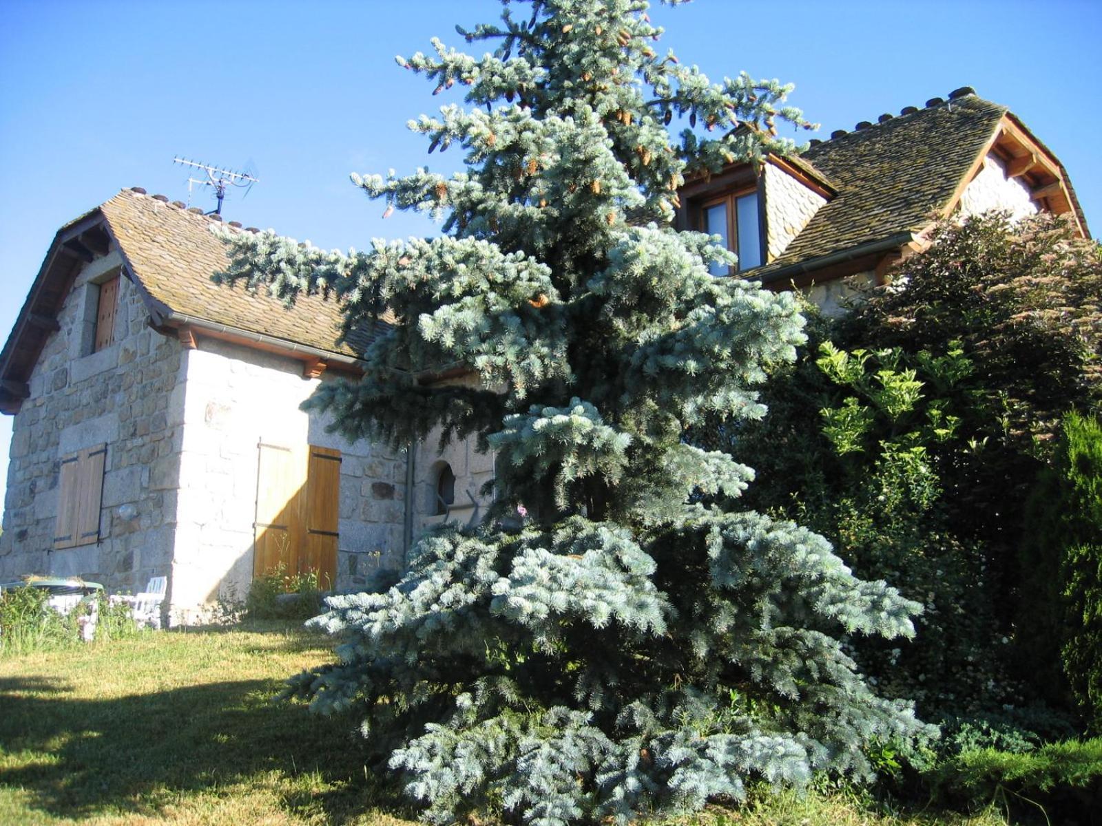 Lozere Aubrac Margeride Promo Apartment Saint-Alban-sur-Limagnole Luaran gambar