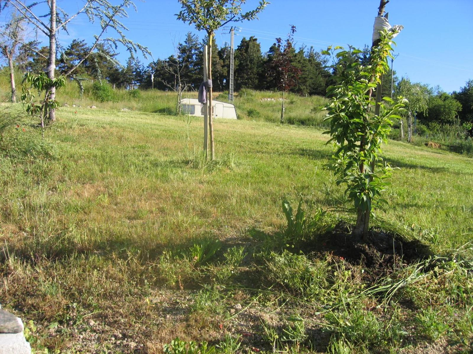 Lozere Aubrac Margeride Promo Apartment Saint-Alban-sur-Limagnole Luaran gambar