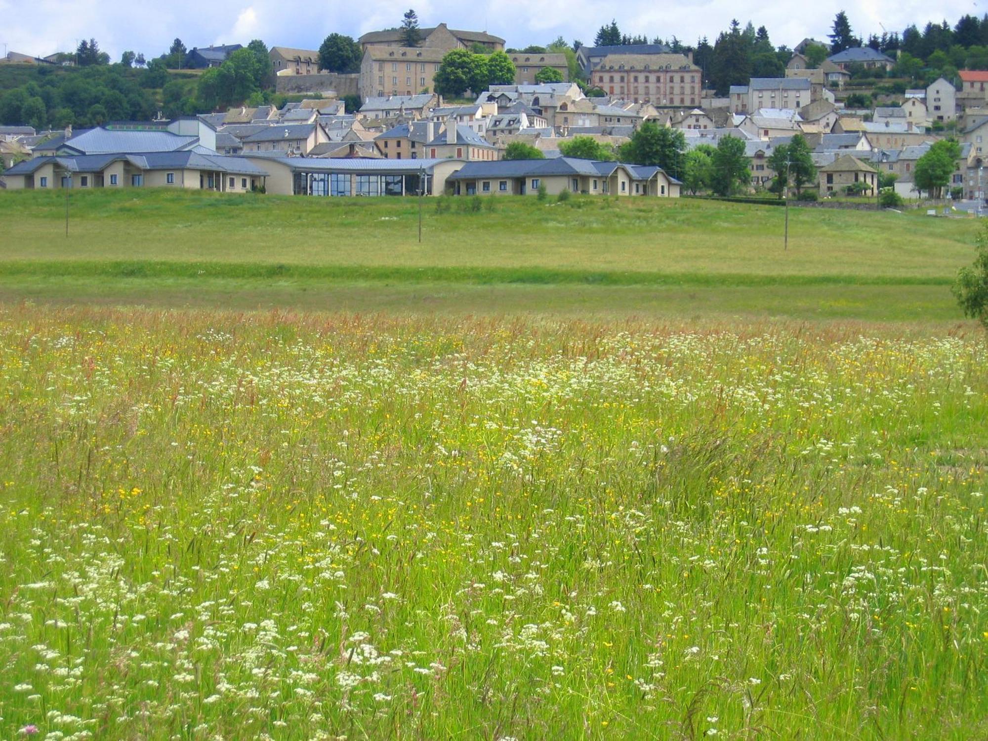Lozere Aubrac Margeride Promo Apartment Saint-Alban-sur-Limagnole Luaran gambar